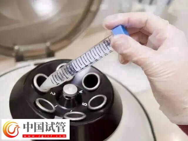 呼和浩特市試管嬰兒價格多少(圖1)