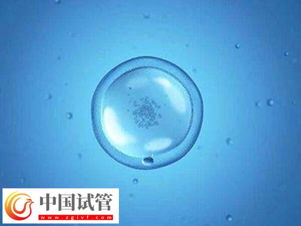 寧波不育不孕醫(yī)院有哪些(圖1)