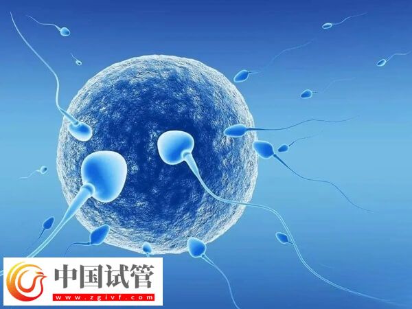 1-2個(gè)卵泡可不可以做試管(圖1)