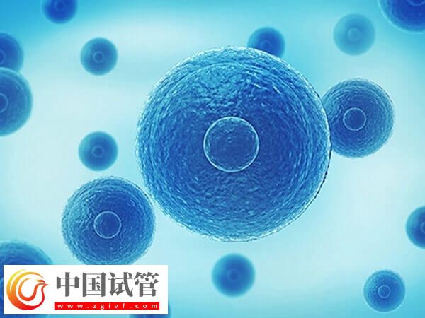 三代囊胚送檢40天還沒(méi)出結(jié)果咋回事(圖1)