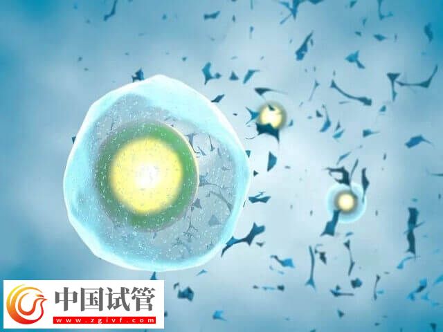 第二次試管需不需要促排(圖2)