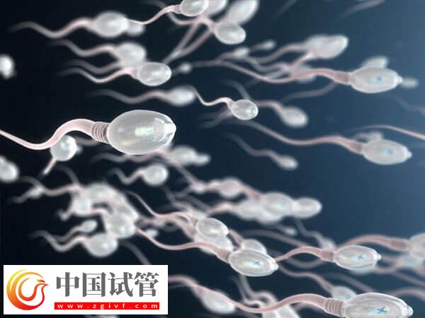 艾滋病洗精費用是多少(圖1)