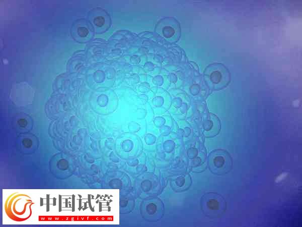 胚胎有基因問題三代試管能否解決(圖1)