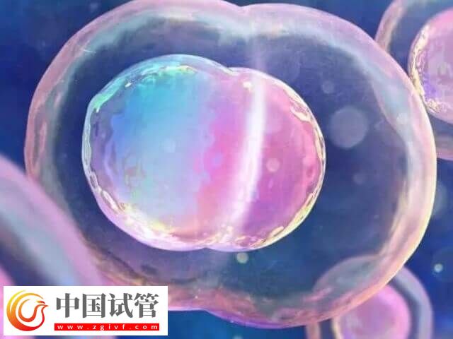 山大生殖高芹跟盛燕試管技術對比(圖1)