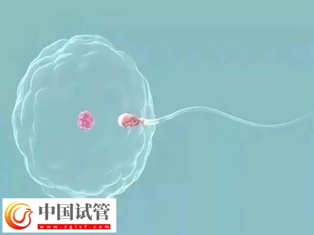 做試管不要結婚證的醫院有哪些(圖2)