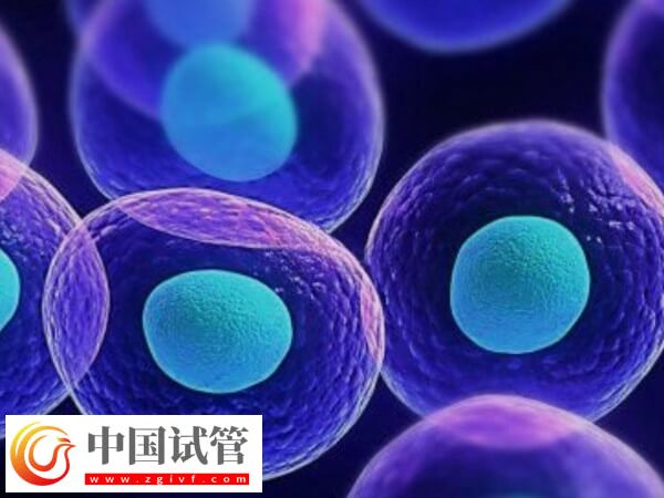 關(guān)節(jié)攣縮做試管有沒有影響(圖1)