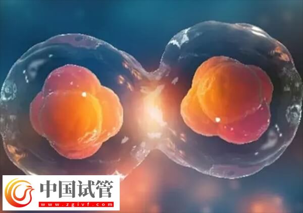 降調(diào)人工周期移植優(yōu)點(diǎn)有哪些(圖1)