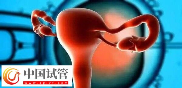 達菲林降調成功卵泡是多大(圖3)