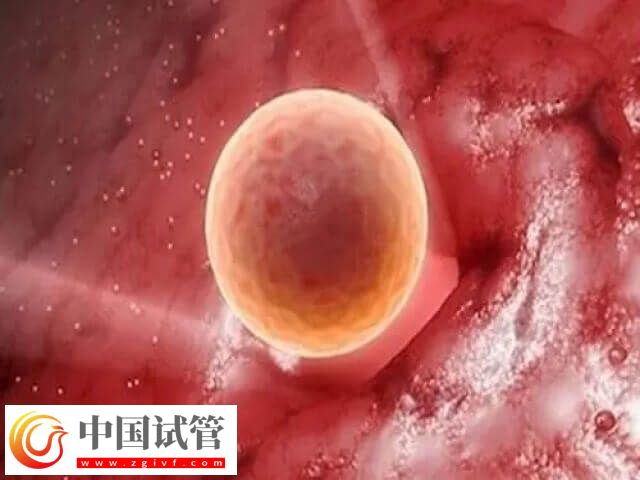 卵子質量不好影不影響胎兒健康(圖1)