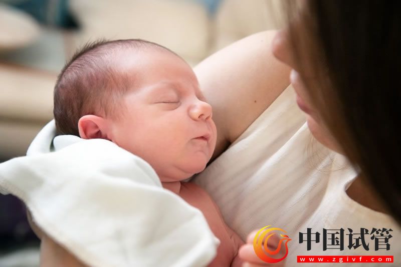 拮抗劑方案能不能移植鮮胚關(guān)鍵因素是什么(圖1)