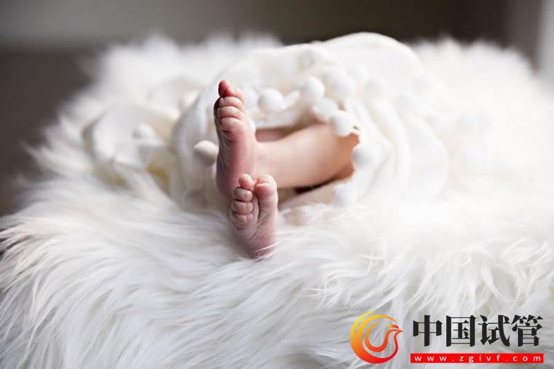 磨丁試管醫(yī)院價(jià)格揭秘:你需要知道的一切(圖1) 磨丁試管醫(yī)院價(jià)格揭秘:你需要知道的一切(圖1)